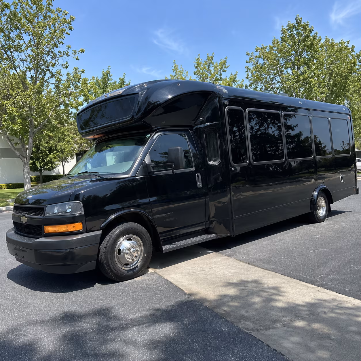 buckeye 15 passenger party bus