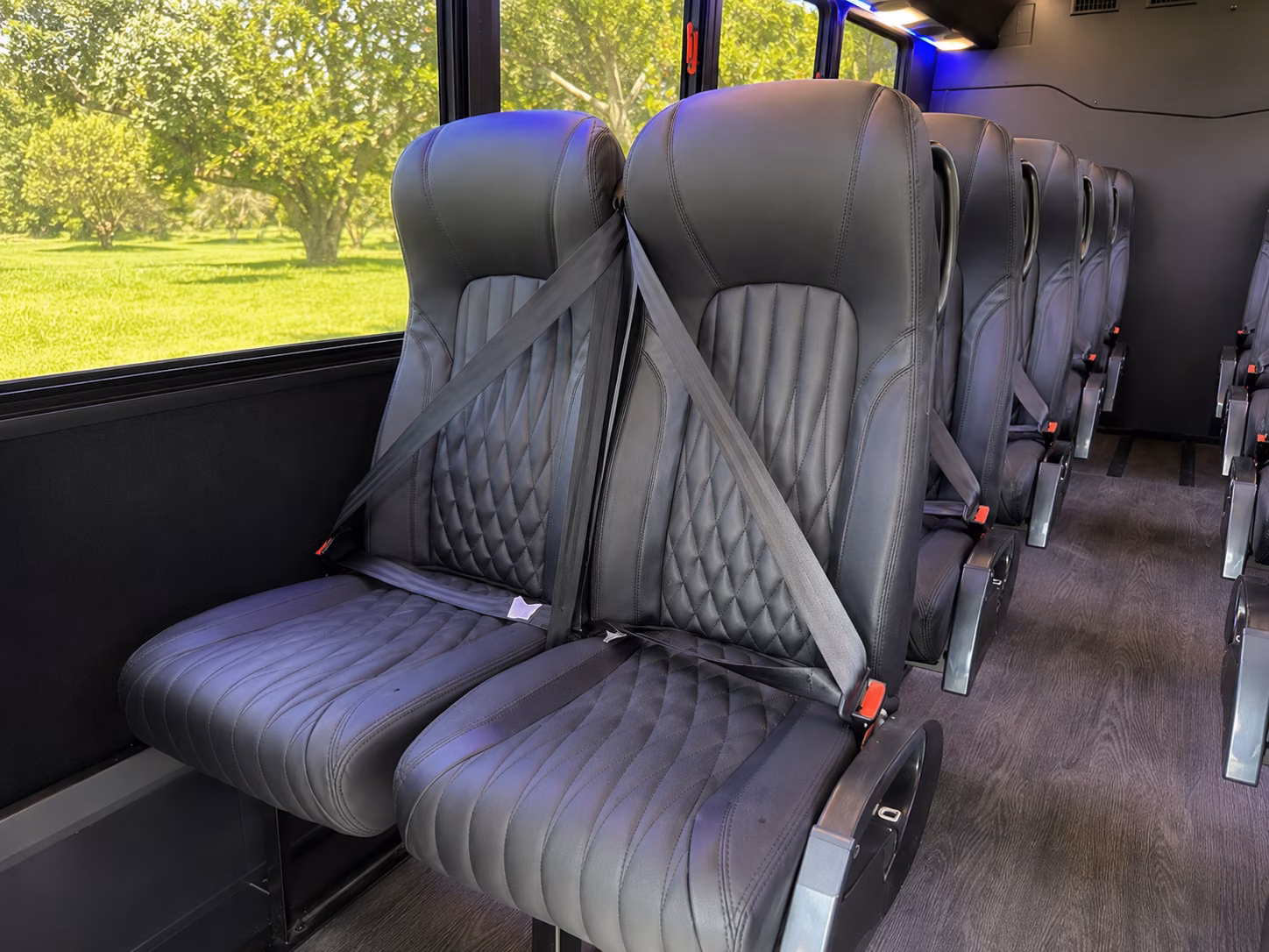 buckeye 18 passenger minibus inside