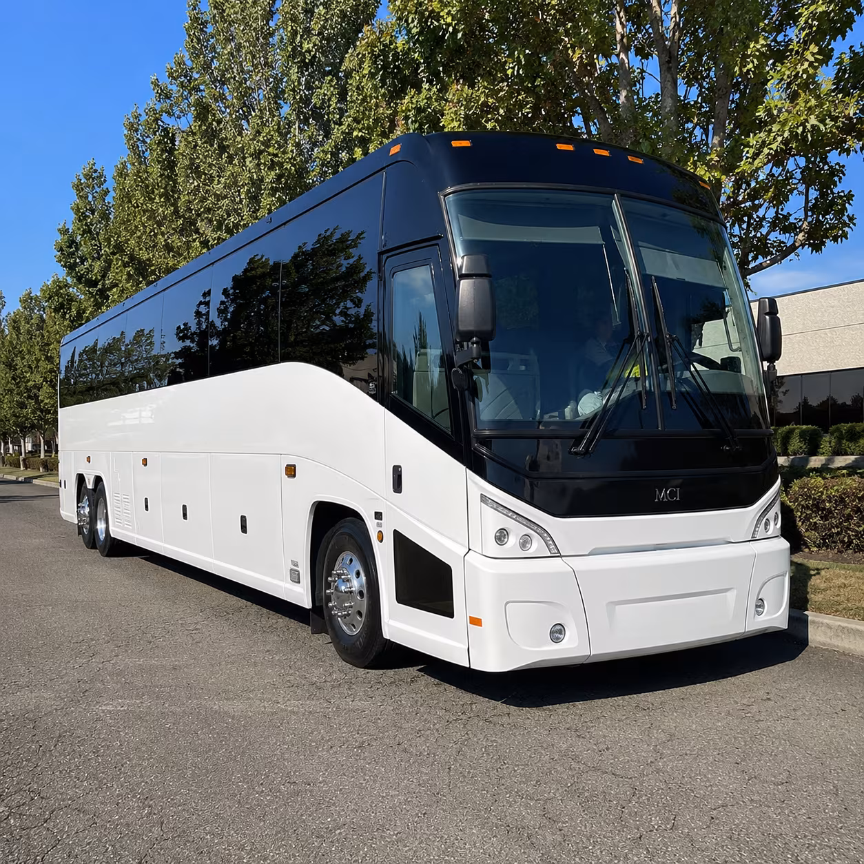 buckeye 50 passenger charter bus