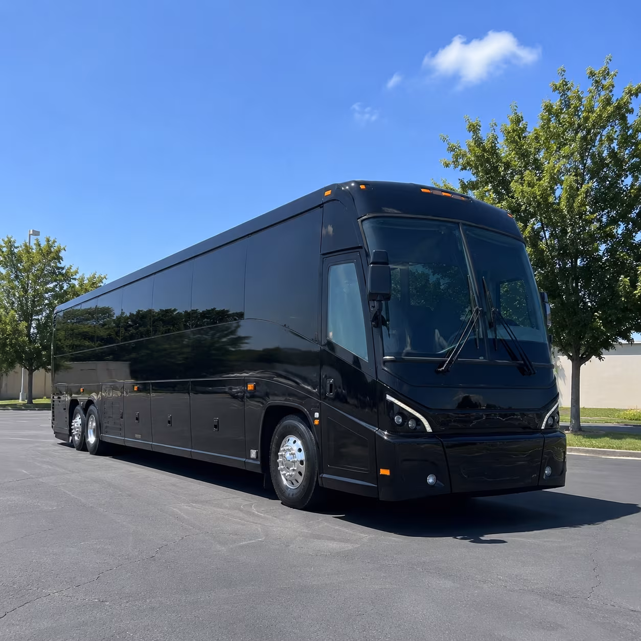 buckeye 56 passenger charter bus
