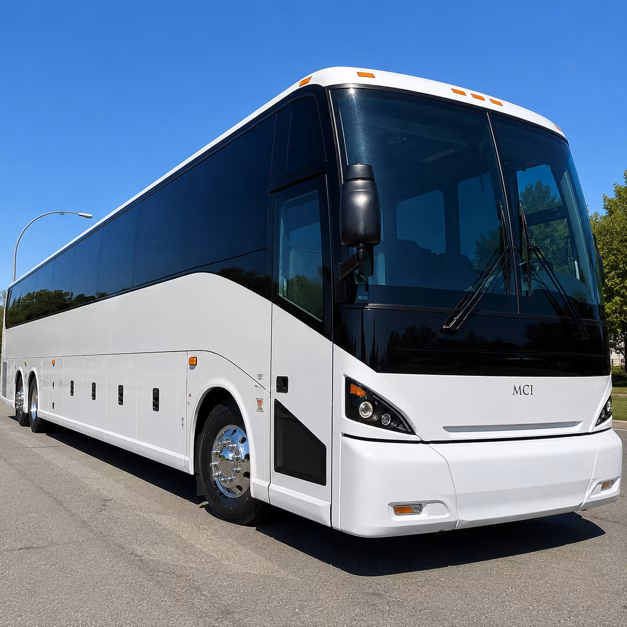 buckeye family reunion charter bus rental