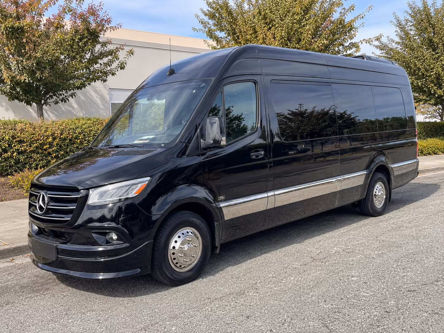 buckeye sprinter van with driver